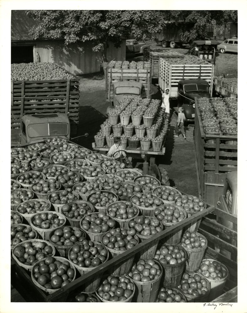 Click for larger image